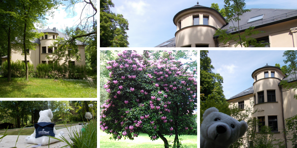 Villa Hahn | Nach dem Erwerb einer historischen Villa auf der Händelstraße 9 in Chemnitz folgte deren aufwändige Restaurierung.