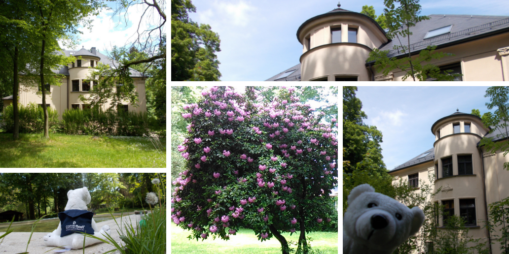 Villa Hahn | After acquiring a historic villa on the Haendelstraße 9 in Chemnitz followed its meticulous restoration.